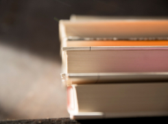 Депутат Госдумы предложил сокращать срок тюремного заключения за чтение книг