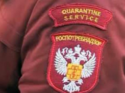 Руководитель Роспотребнадзора ответит лично на вопросы новороссийцев