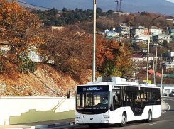 В Новороссийске не хватает водителей троллейбусов