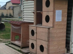 Восстановленный «кошкин дом» могут снести в Новороссийске 