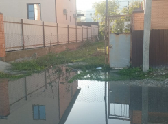 «Вонь несусветная!»: новороссийцы рассказали, как фекалии несколько дней стекают в море