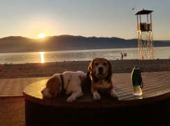 Гороскоп от «Блокнота»: у близнецов неожиданные встречи, а козероги пересмотрят отношения