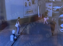 Погибшая чихуахуа - как это было: новороссийцы поделились кадрами с камеры видеонаблюдения