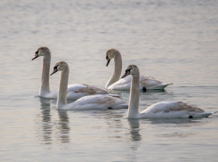 Погода в Новороссийске: воздух прогреется до +10 градусов