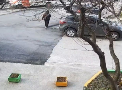 Ребенок провалился в открытый люк в Новороссийске 