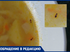 «Протеиновым» супом накормили школьников в пригороде Новороссийска