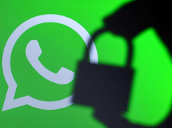 Стало известно, лишатся ли новороссийцы WhatsApp