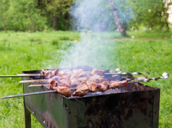 Без дыма и огня: Пионерская роща больше не будет  зоной барбекю