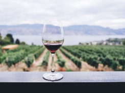 В Новороссийске построили винный завод за 220 миллионов рублей