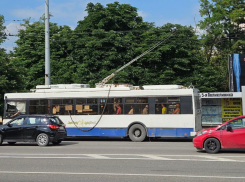 Нам нужны водители: что в Новороссийске с общественным транспортом