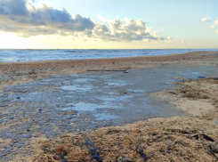 За мазут и вред, нанесенный Черному морю, владельцы танкеров «Волгонефть» ответят в суде