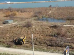 Экологи Новороссийска обратились на прямую линию с Президентом Владимиром Путиным