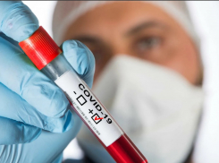 Новороссийск снова оказался среди рекордсменов по COVID-19 