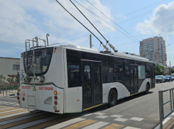 Когда троллейбусы из Южного района пойдут до ж/д вокзала и изменится ли маршрут №22