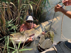 Два сома по 2 метра – за таким уловом новороссийцам надо ехать в Белореченский район
