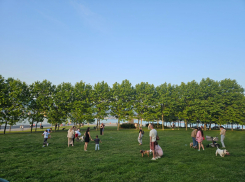 Гороскоп от «Блокнота»: львам не оставаться в одиночке, а козерогам обратить внимание на финансы 