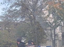 Какие результаты  дала борьба с наркомафией в Новороссийске