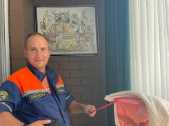 Летучие мышки в квартирах новороссийцев — почему зверьков стало так много