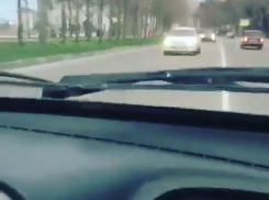 Стала известна реакция учебного заведения на выходки новороссийского беспредельщика