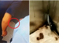 В одном из ЖК Новороссийска в лифте «нагадили» прямо под камерами 