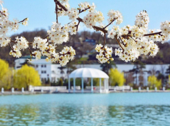 Самое время для прогулок: солнечная пятница в Новороссийске 