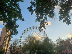 Афиша в Новороссийске на выходные с 23 по 25 августа: День Восточного и Центрального районов, кинопоказ и тренировка