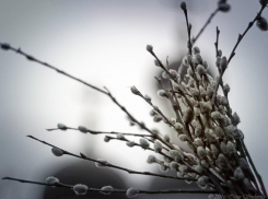 Вербное воскресенье в Новороссийске обещает быть пасмурным