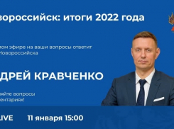 «Неконтролируемое строительство в Новороссийске приводит к дисбалансу», - Андрей Кравченко об отключениях электричества в Раевской