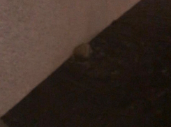 «Хоть баклажку набирай»: фонтан забил из-под земли в Южном районе Новороссийска 