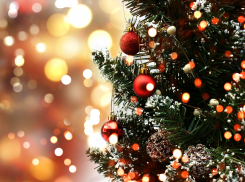 Насколько подорожали искусственные новогодние елки для новороссийцев