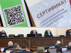 «Мы все живые люди»: депутаты Законодательного собрания Кубани поддержали QR-коды