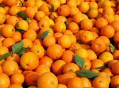 В Новороссийск вновь прибыли заражённые мандарины из Турции: стал ли фрукт дороже