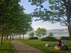 Погода в Новороссийске: малооблачно, но очень жарко