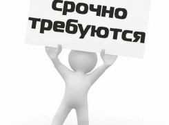В штат регионального оператора по обращению с ТКО требуются сотрудники
