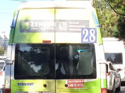 «Набрал одних бабок»: жительница Новороссийска возмущена хамским поведением водителя