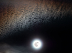 Гороскоп от “Блокнота” на 14 февраля — Стрельцы погрузятся в работу, а Львы — в отдых