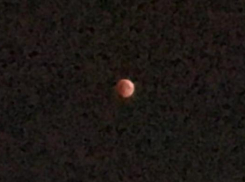 Как новороссийцы «кровавую» Луну рассмотреть пытались