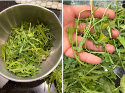 Подложили «свинью»: магазинная руккола разочаровала жительницу Новороссийска 