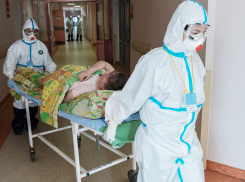 Почти тысяча за сутки: количество зараженных коронавирусом на Кубани продолжает расти