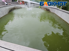 «В парке Галицкого карпов видно», - новороссиец интересуется состоянием пруда в парке Фрунзе