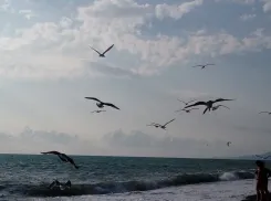 Стало известно, куда мечтают поехать российские туристы летом 2025 