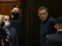 Мошенник или жертва: за что получил срок Навальный