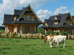 Домик в деревне: многодетным новороссийцам готовы выделить 2200 земельных участков 