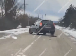 Собаку привязали за шею к машине: в Краснодарском крае жуткое происшествие