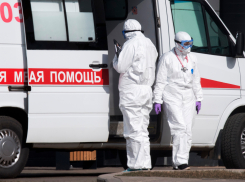 Новороссийск исчез из ковидных сводок: пора ли забыть о вирусе 