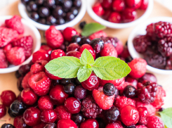 Ягодный сезон для новороссийцев начнется раньше