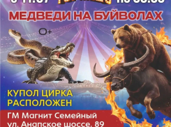 «Торнадо» уходит! Но дарит новороссийцам 50% скидки на билеты в цирк-шапито