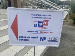 Явка на выборах в Краснодарском крае превысила 56 %