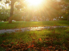 В субботу воздух в Новороссийске прогреется до 13 градусов тепла