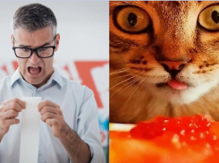 Сезон «это на Новый год» открыт! Новороссийцам стоит запастись красной икрой